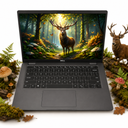 Reacondicionado-Dell Latitude 7300 13.3" FHD i5 16GB 256GB SSD Win11 Pro 